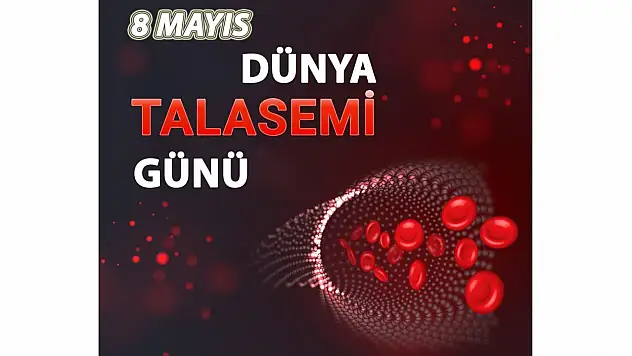 Kastamonu İl Sağlık, Talasemi'ye Dikkat Çekti