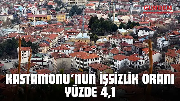 Kastamonu'nun İşsizlik Oranı Yüzde 4,1