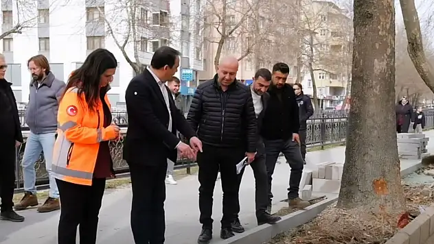 Kastamonu'nun Simgesi Çınar Ağaçları İçin Yeşil Bant Uygulaması