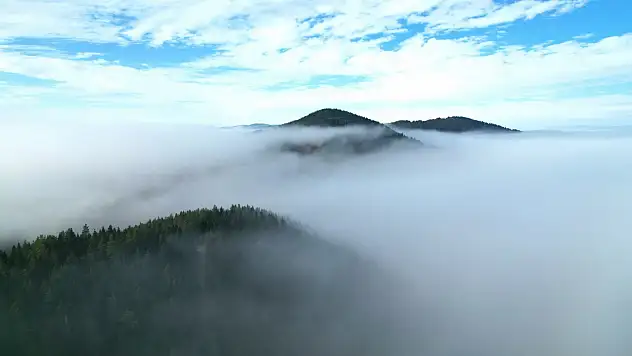 Kastamonu Ormanları Sisle Buluştu, Manzara Büyüledi