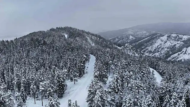 Kastamonu Ormanlarında Kış Güzelliği