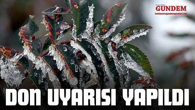 Kastamonu'ya Don Uyarısı Yapıldı