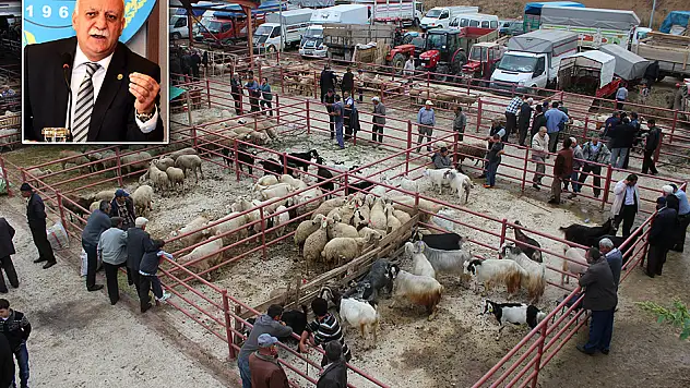 Kastamonu'da büyükbaş fiyatı yüzde 10 artacak