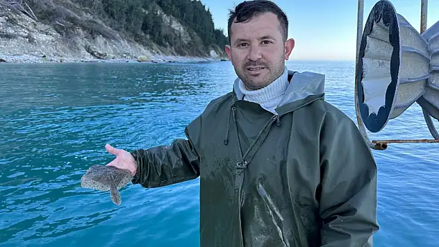 Kastamonulu Balıkçıdan Örnek Hareket