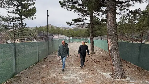 Kavaklıgil'den Sokak Hayvanları Bakım Ve Rehabilitasyon Merkezi'ne Ziyaret