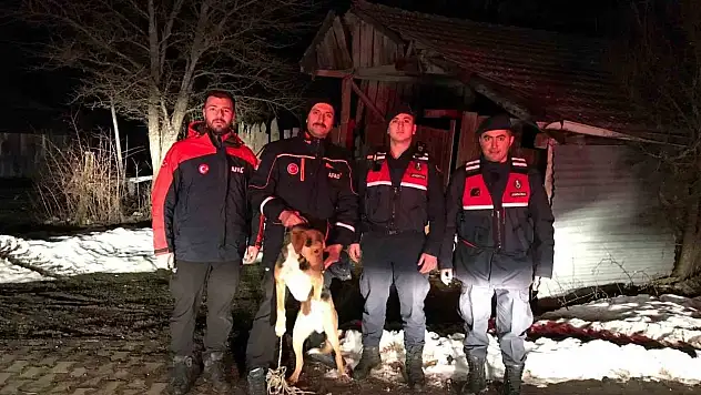 Kayalıkta Mahsur Kalan Köpek Kurtarıldı