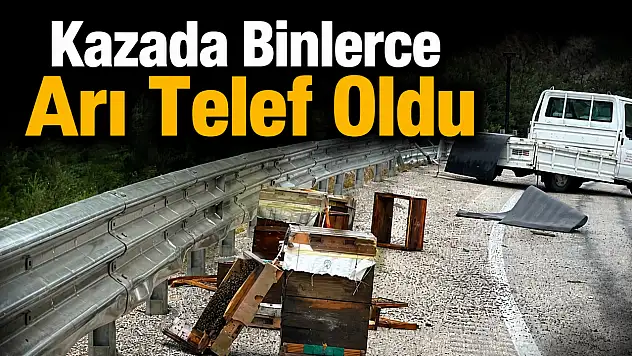Kazada Binlerce Arı Telef Oldu