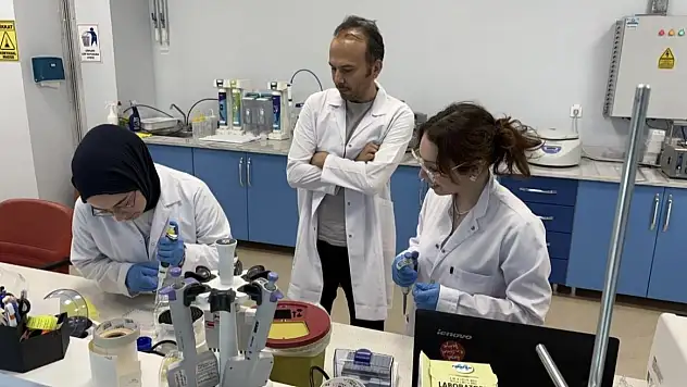 KBÜ'de biyolojik yaşı belirleyecek yerli test geliştiriliyor