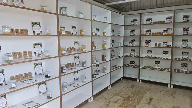 Kdz. Ereğli'de Tohum Bankası Kuruldu