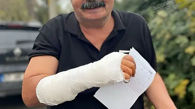 Kedilerin Kavgasını Ayırmak İstiyordu
