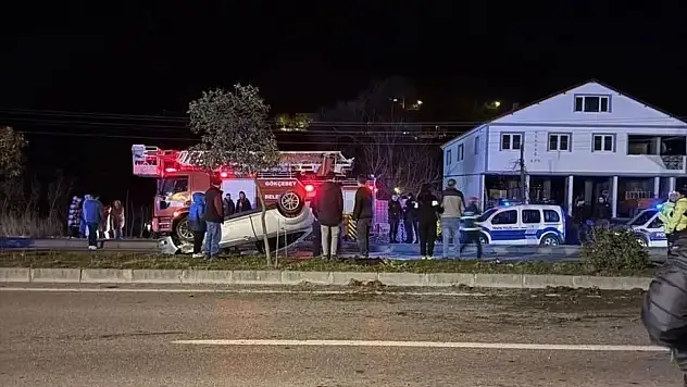 Zonguldak'ta Yola Fırlayan Kedi Kazaya Neden Oldu: 2 Yaralı