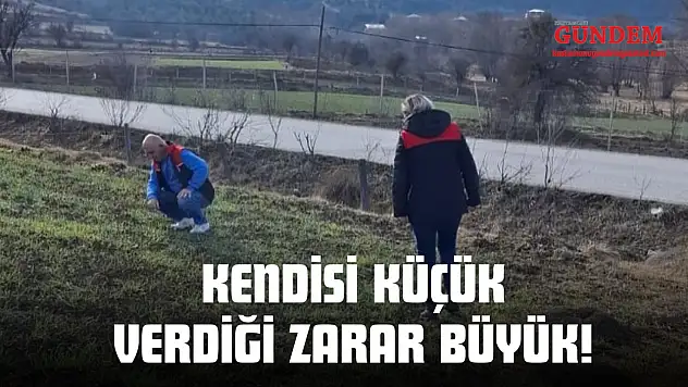 Kendisi Küçük Verdiği Zarar Büyük!