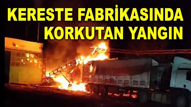 Kereste Fabrikasında Korkutan Yangın