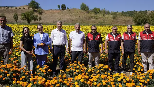 Kesme Çiçek Üretimi Değerlendirildi