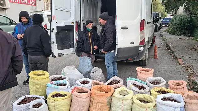 Kestane için pazarda borsa kurdular