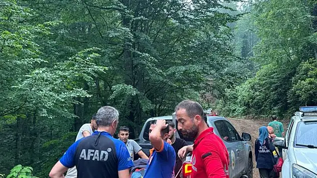 Kestiği Ağacı Damgalarken Uçuruma Düştü