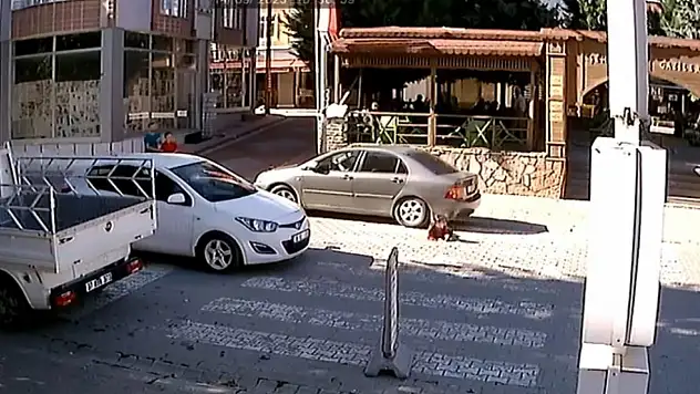 Kılpayı kurtuluş!