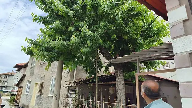 Kiraz toplarken demir korkulukların üzerine düşen adam öldü