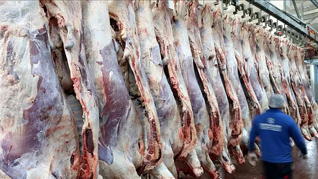 Kırmızı Et Üretimi Yüzde 10,5 Azaldı