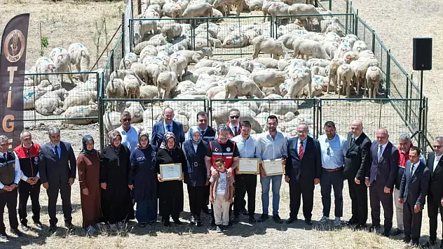 Kırsalda Bereket Projesiyle Küçükbaş Hayvancılıkta İlk Teslimatlar Yapıldı
