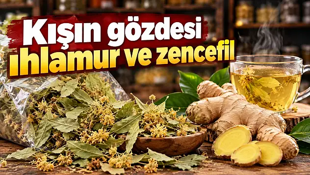 Kışın Gözdesi Ihlamur Ve Zencefil