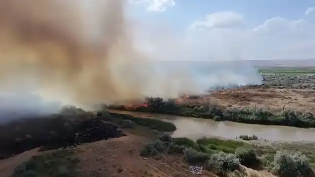 Kızılırmak Nehri çevresinde korkutan örtü yangını