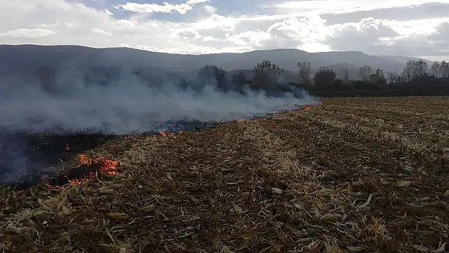 Kontrolden çıkan anız ateşi, itfaiyeyi seferber etti