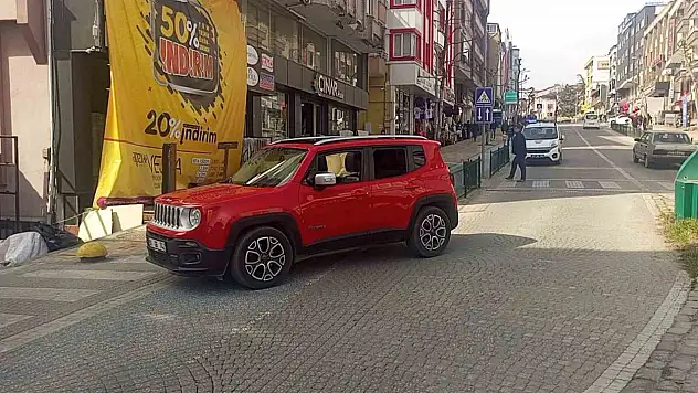 Kontrolden Çıkan Araç Çitlere Daldı