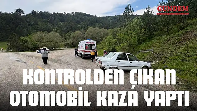 Kontrolden Çıkan Otomobil Kaza Yaptı