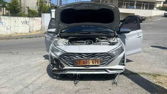 Kopan Elektrik Telleri Otları, Otlarda Aracı Yaktı