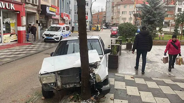 Köpeğe Çarpmamak İçin Ağaca Çarptı