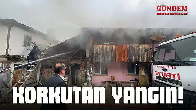 Korkutan Yangın!