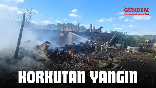 Korkutan Yangın