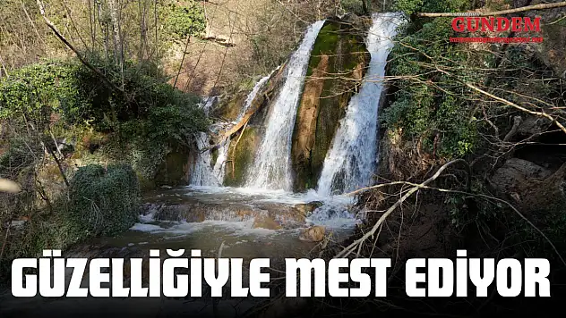 Koruma Altına Alınan Şelale Güzelliğiyle Mest Ediyor
