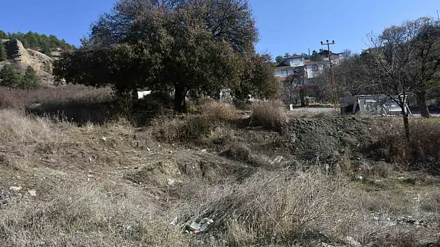 Koruma Altındaki Ağaç Çöplerle Kaplandı