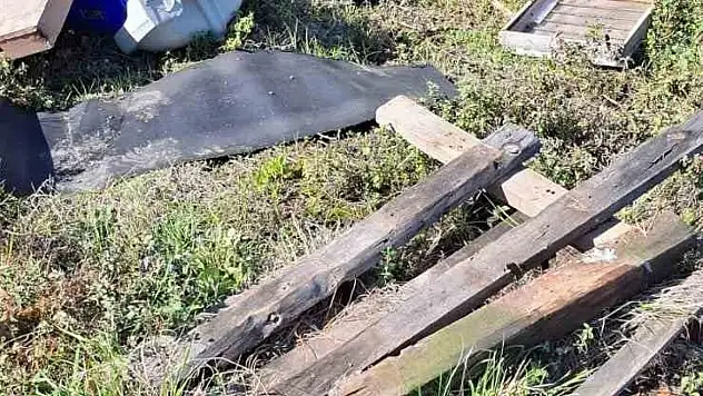 Kovanlarına Ayının Saldırdığını Gören Arıcı, 'Çilingir Sofrası Olmuş'