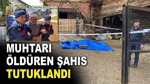 Köy Muhtarını Öldüren Şahıs Tutuklandı