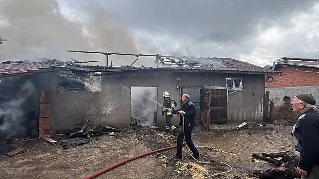 Köyde Yangın Faciası