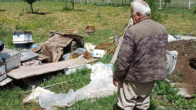Köye İnen Ayı Arı Kovanlarını Parçaladı