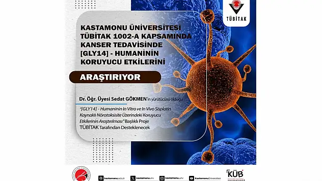 KÜ, Kanserde Humaninin Etkilerini Araştırıyor