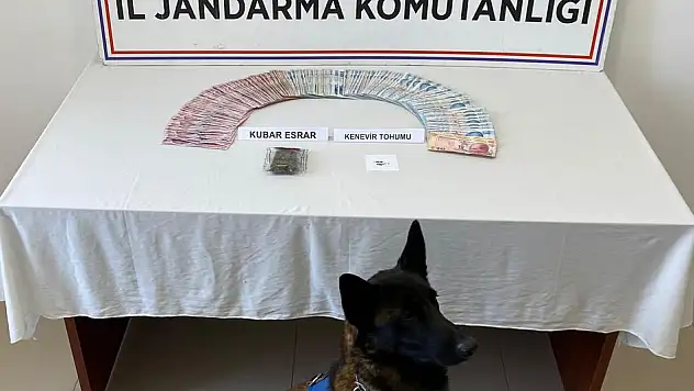 Kubar esrar ele geçirildi