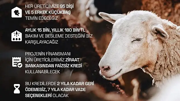 Küçükbaş Hayvancılığa Büyük Destek: 150 Bin Üreticiye Yeni Proje