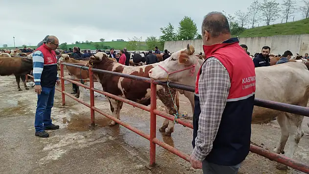 Kurban Bayramı Öncesi Canlı Hayvan Pazarlarında Denetimler Devam Ediyor