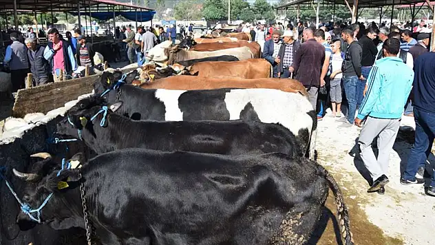 Kurban Bayramı Öncesi Dolandırıcılık Uyarısı
