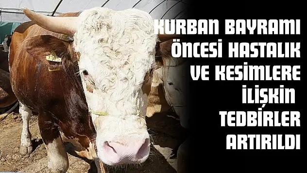 Kurban Bayramı Öncesi Hastalık Ve Kesimlere İlişkin Tedbirler Artırıldı