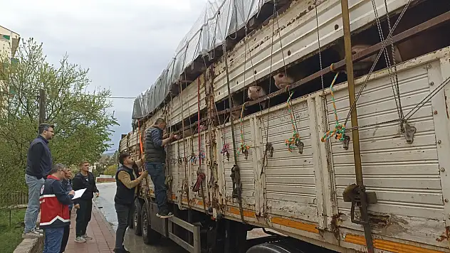 Kurban Bayramı Öncesi Yol Kontrolleri Artırıldı