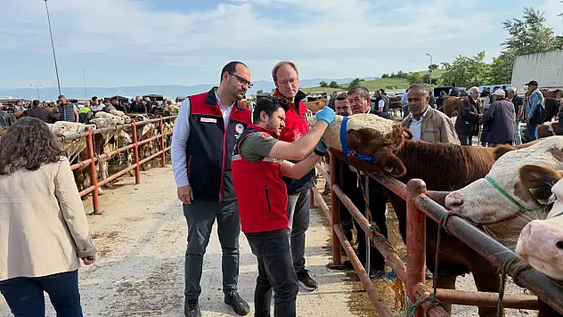 Kurban Bayramı Sonrası Hayvan Satış Yerleri Denetlendi