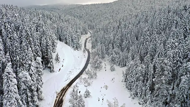 Küre Dağları Havadan Görüntülendi