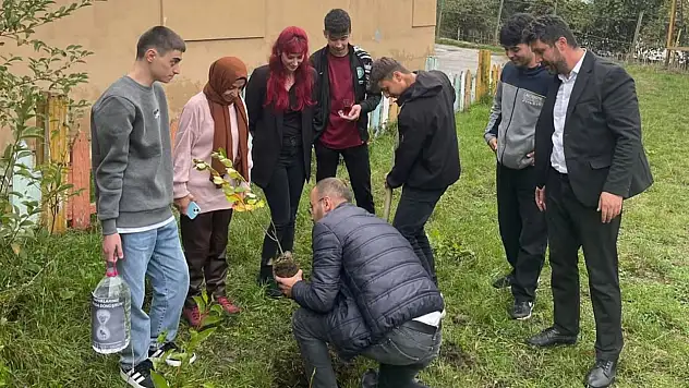 Küre'de Öğrencilerden Fidan Dikimi