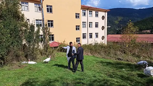 Küre'de Yapılması Planlanan Kur'an Kursu İçin İnceleme